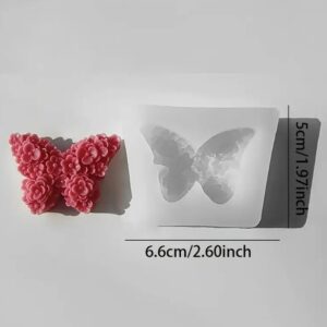 import placeholder for 24561